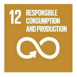 SDG12