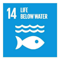 SDG14