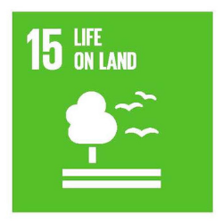 SDG15